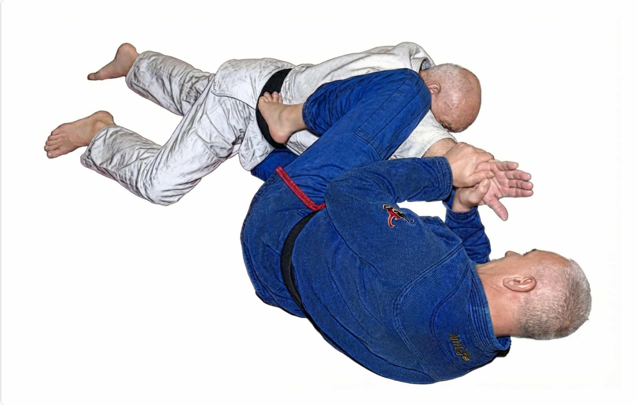Hiza-gatame